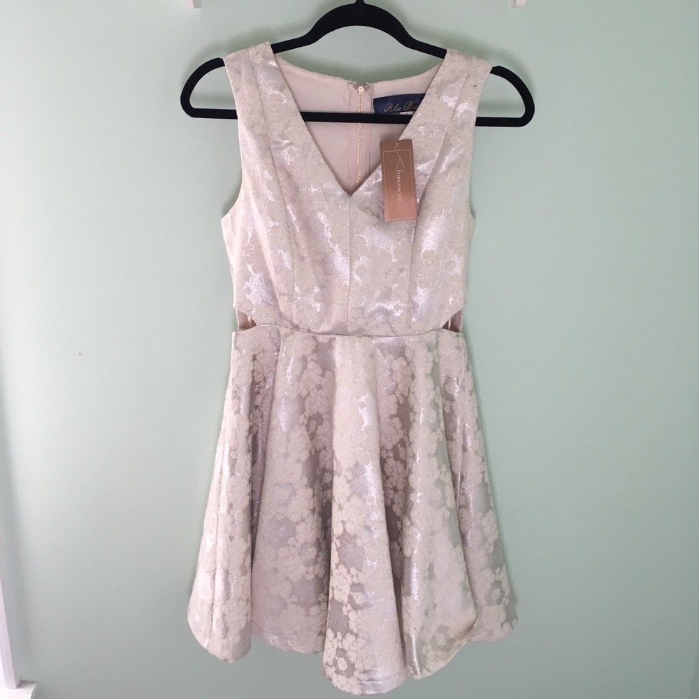 Blue Rain Francesca’s Dress, Size Small